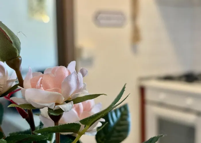 Elysian: All'ultimo Piano A Apartment *