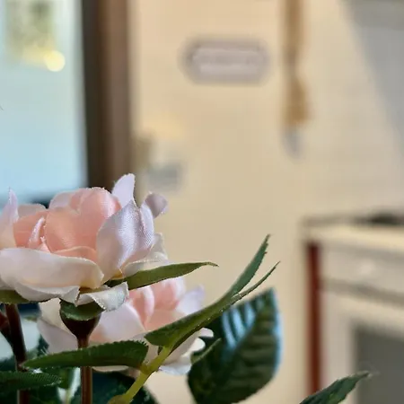 Elysian: All'ultimo Piano A Apartamento *